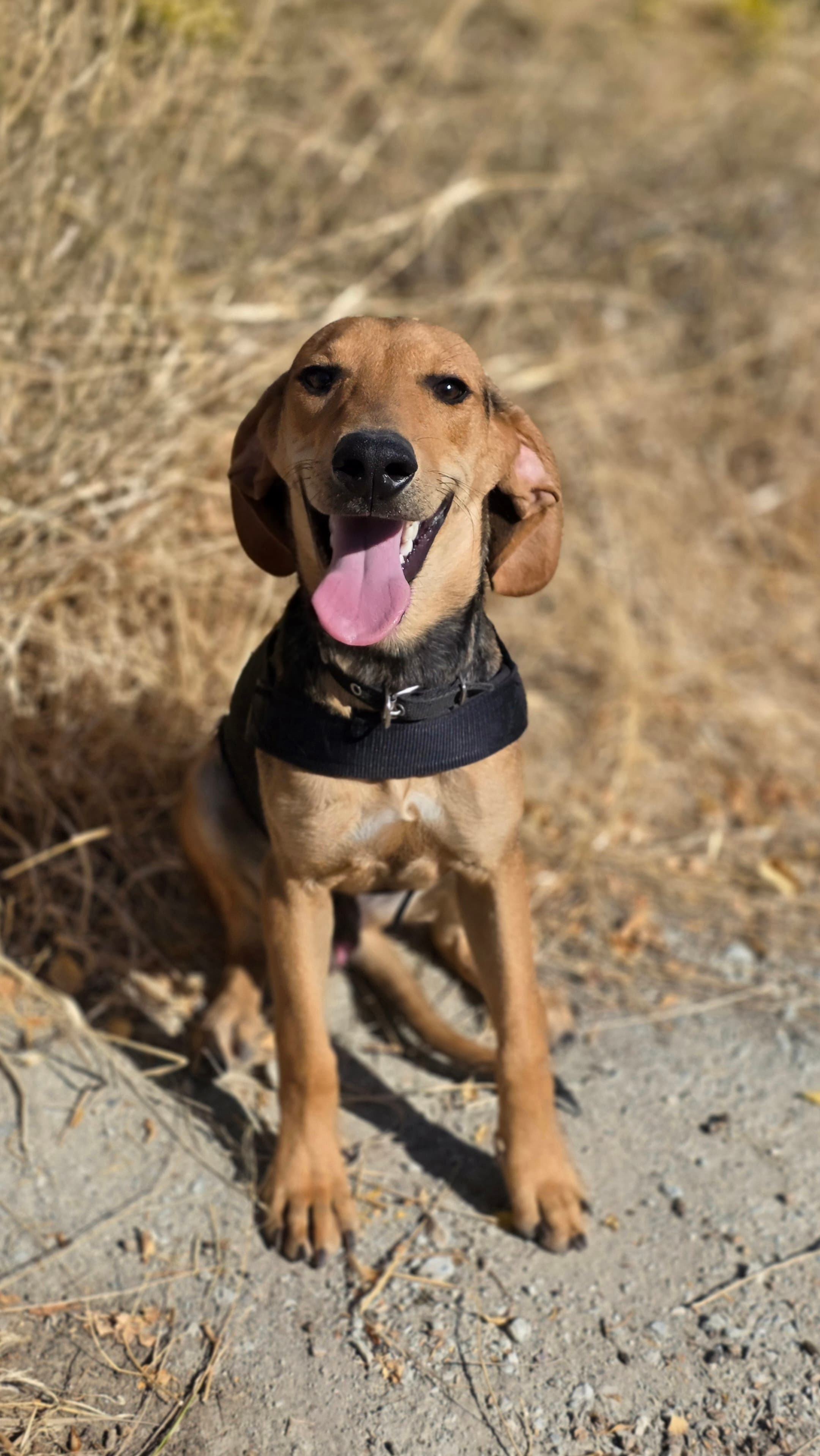 Oliver – photo 1 background
