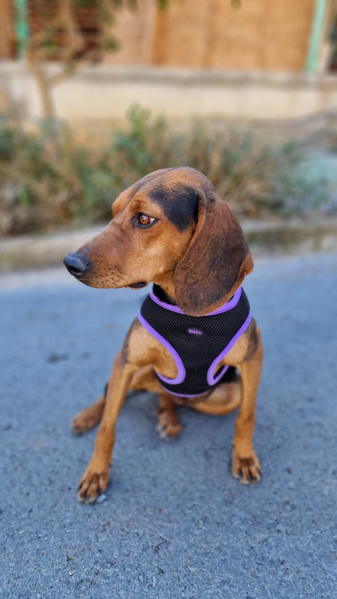 Chloe