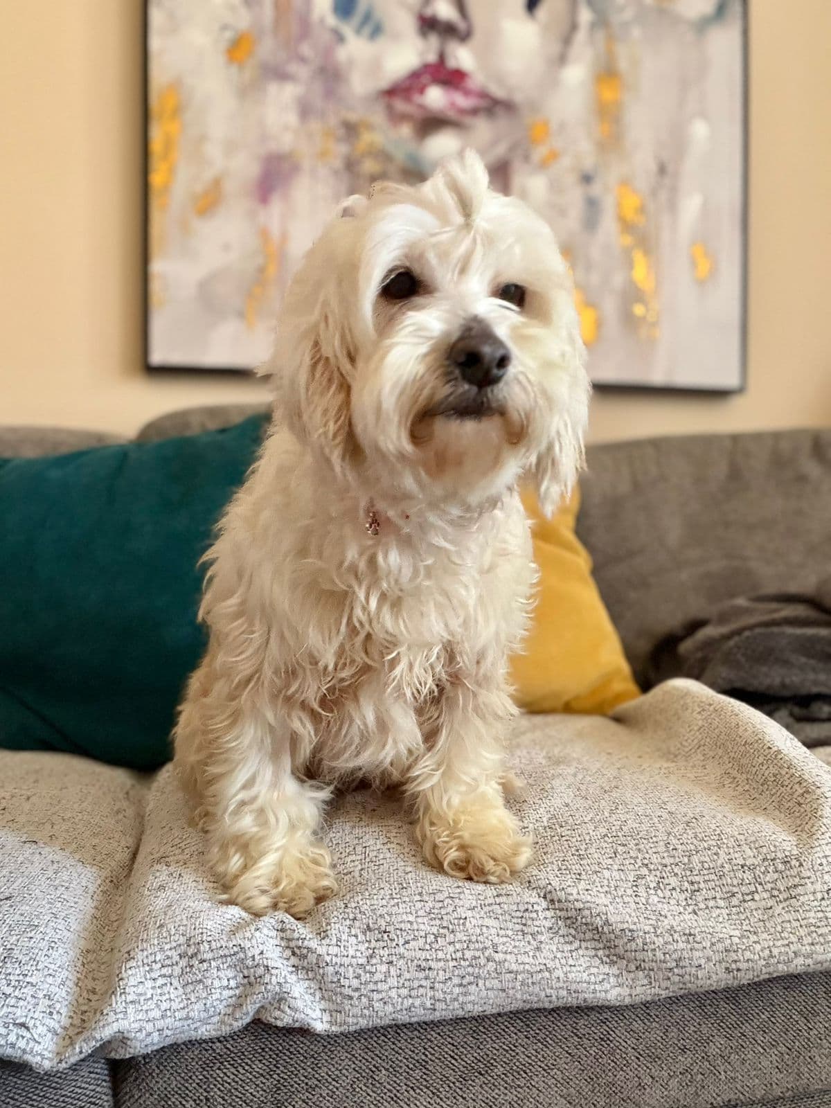 Daisy – photo 1 background