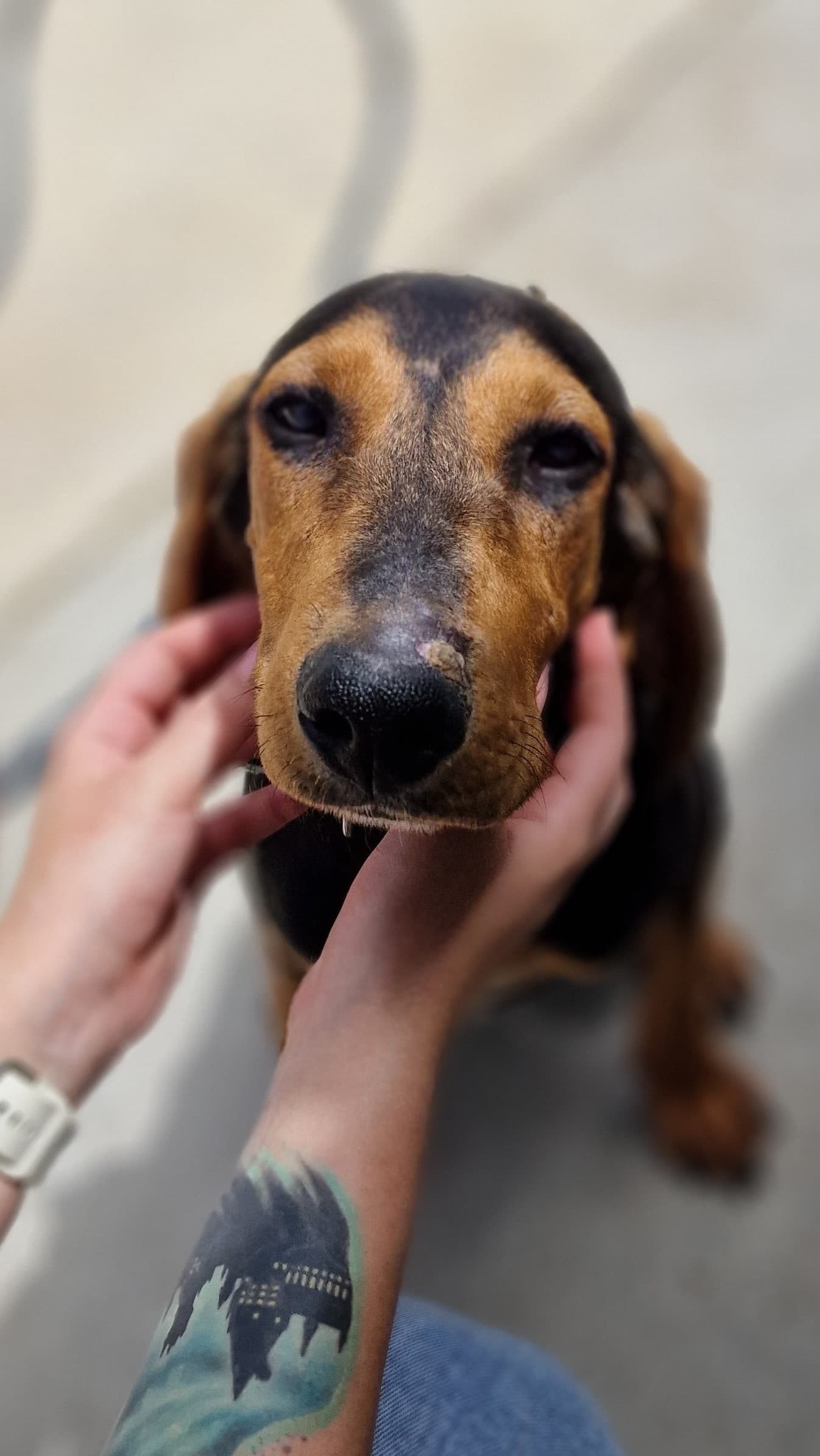 Dobbie – photo 1 background