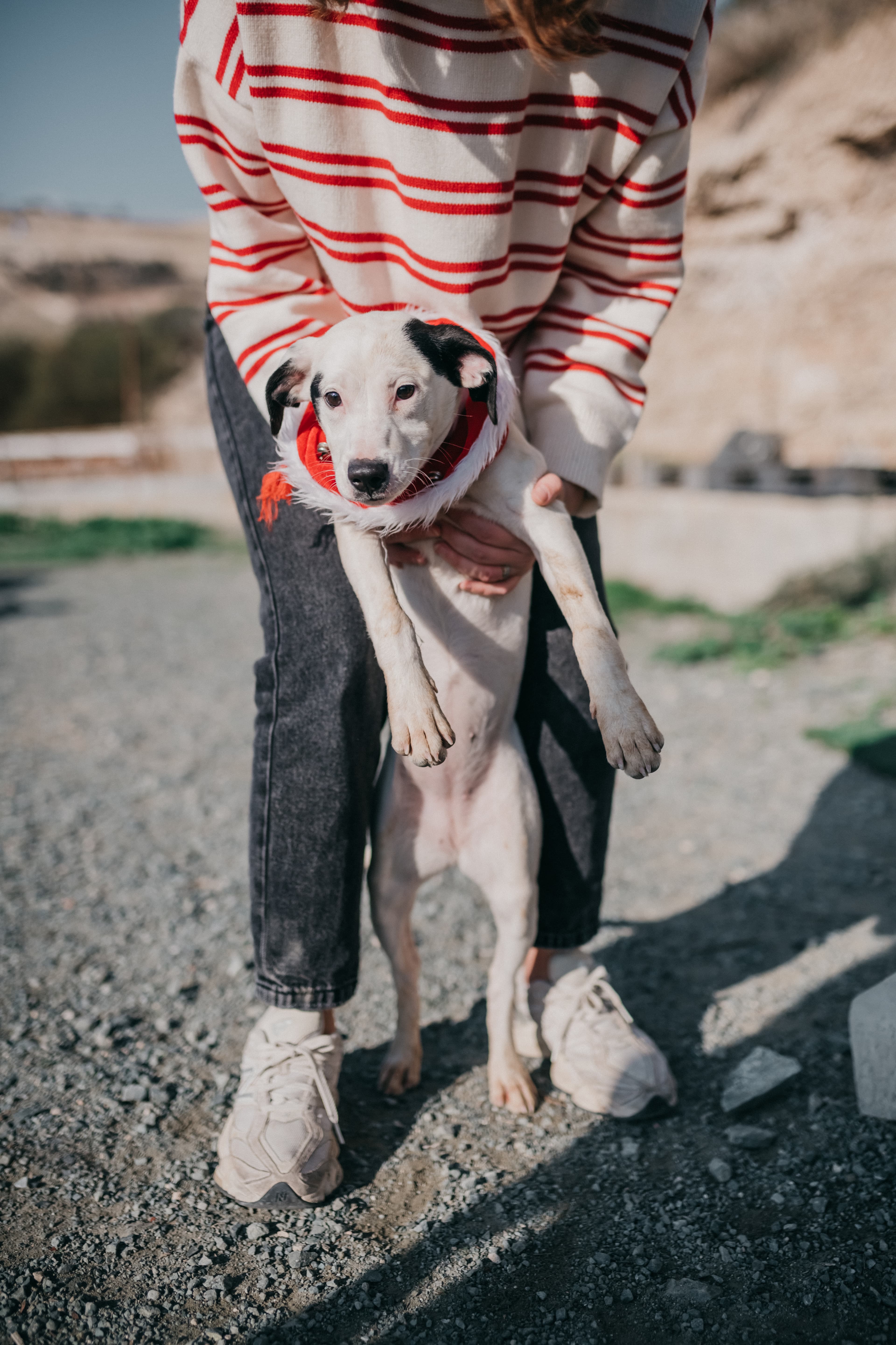 Mabel – thumbnail 4