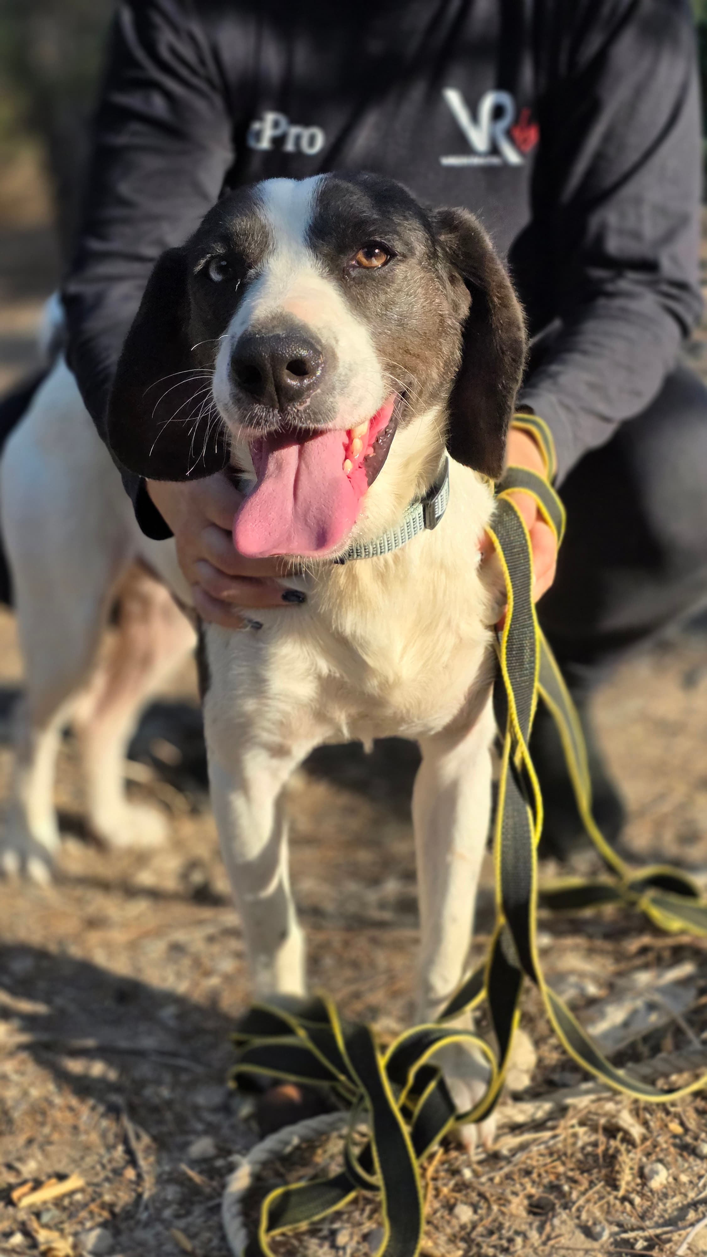 Olaf – thumbnail 5