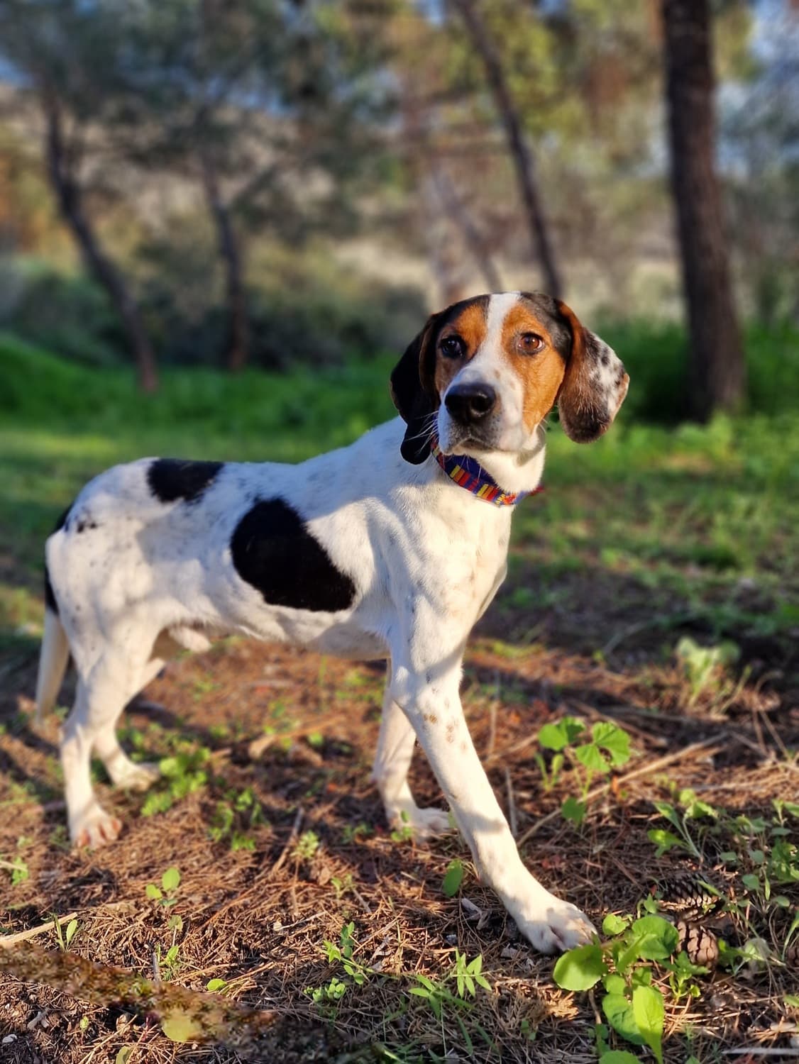 Marlo