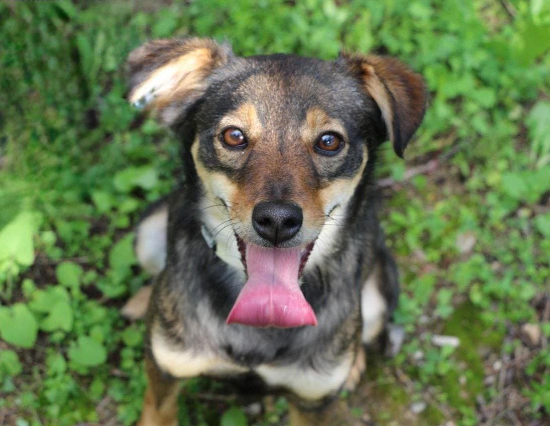 Luna