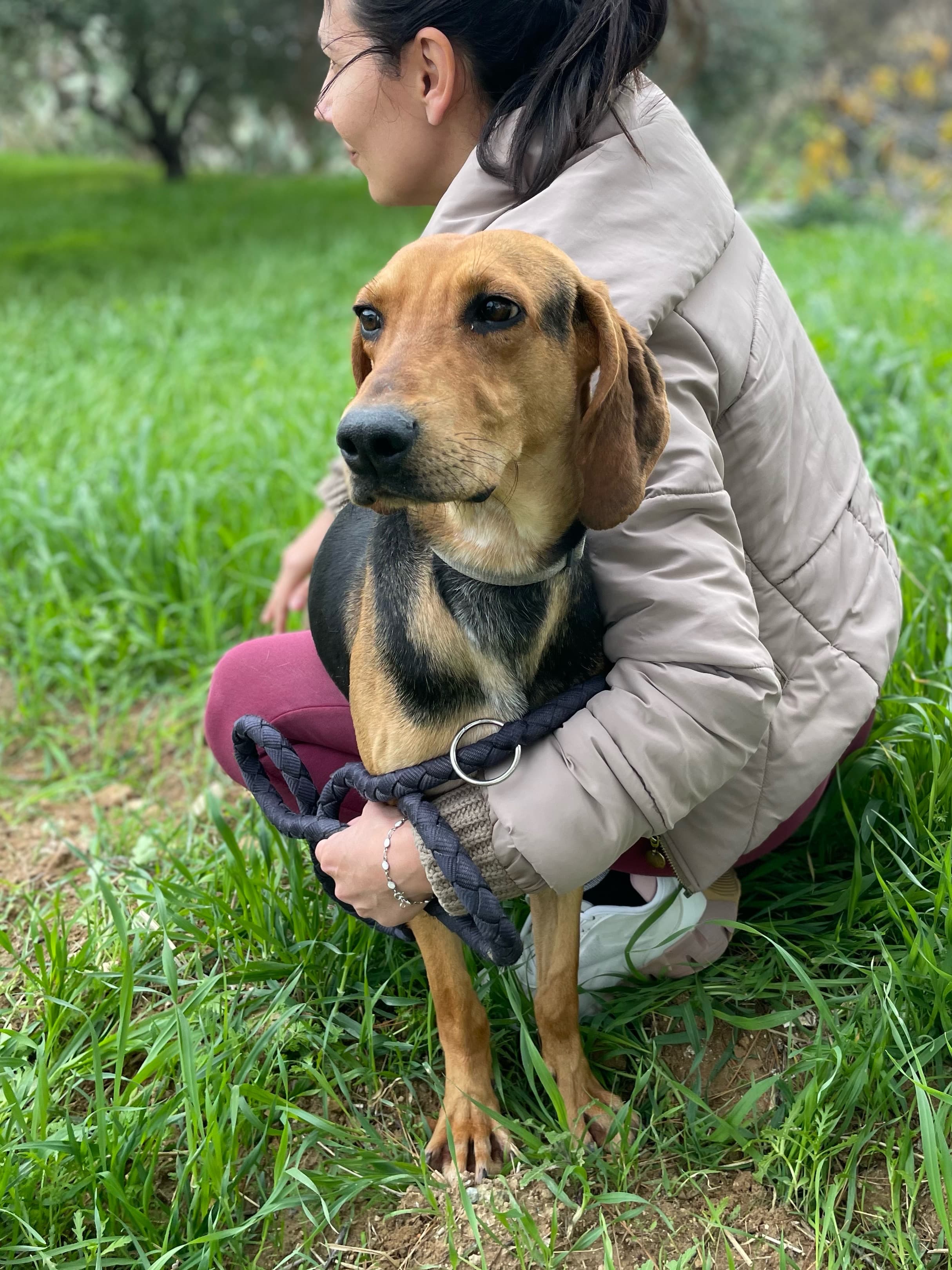 Bailey – thumbnail 2