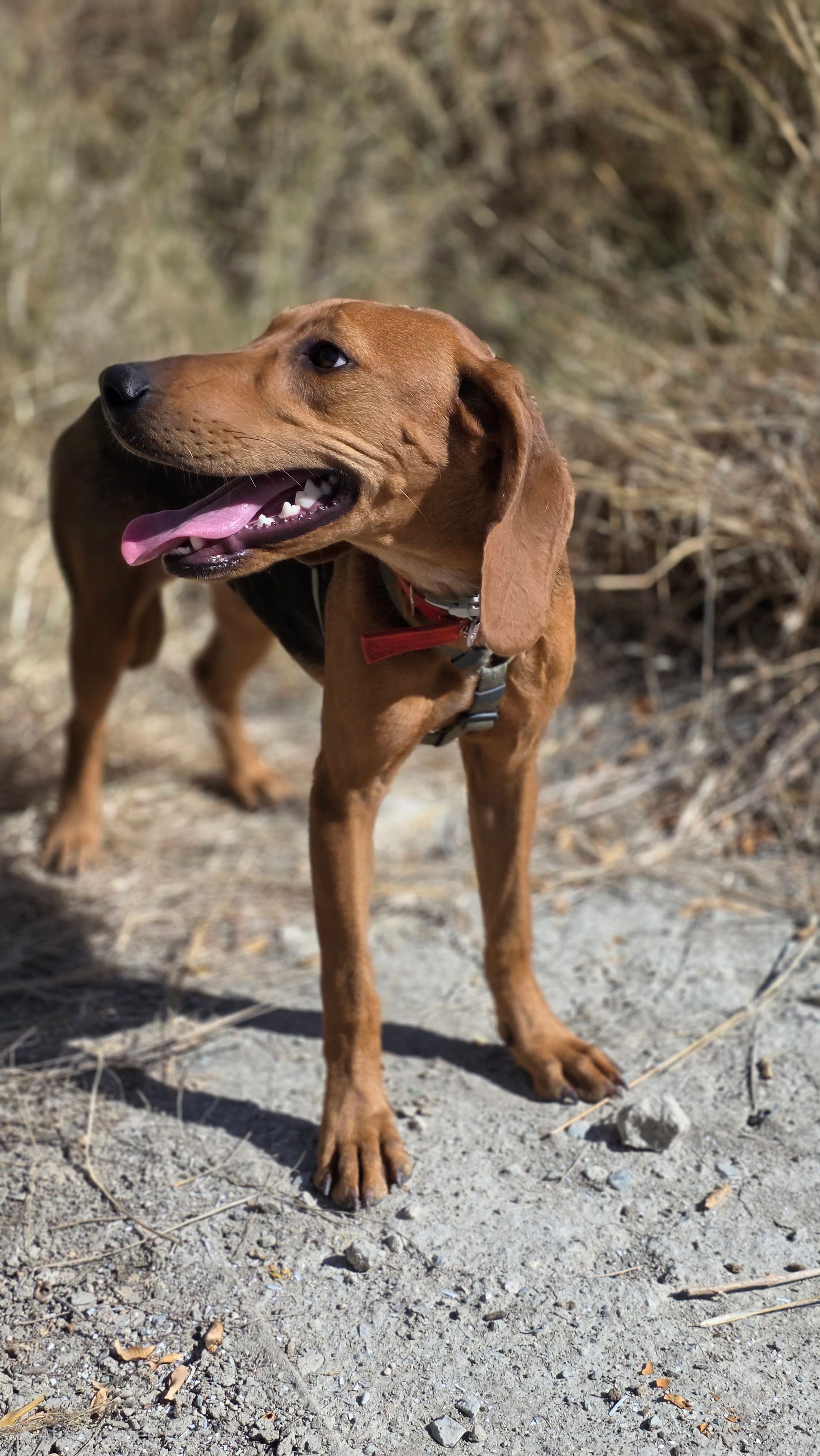 Nora – photo 1 background