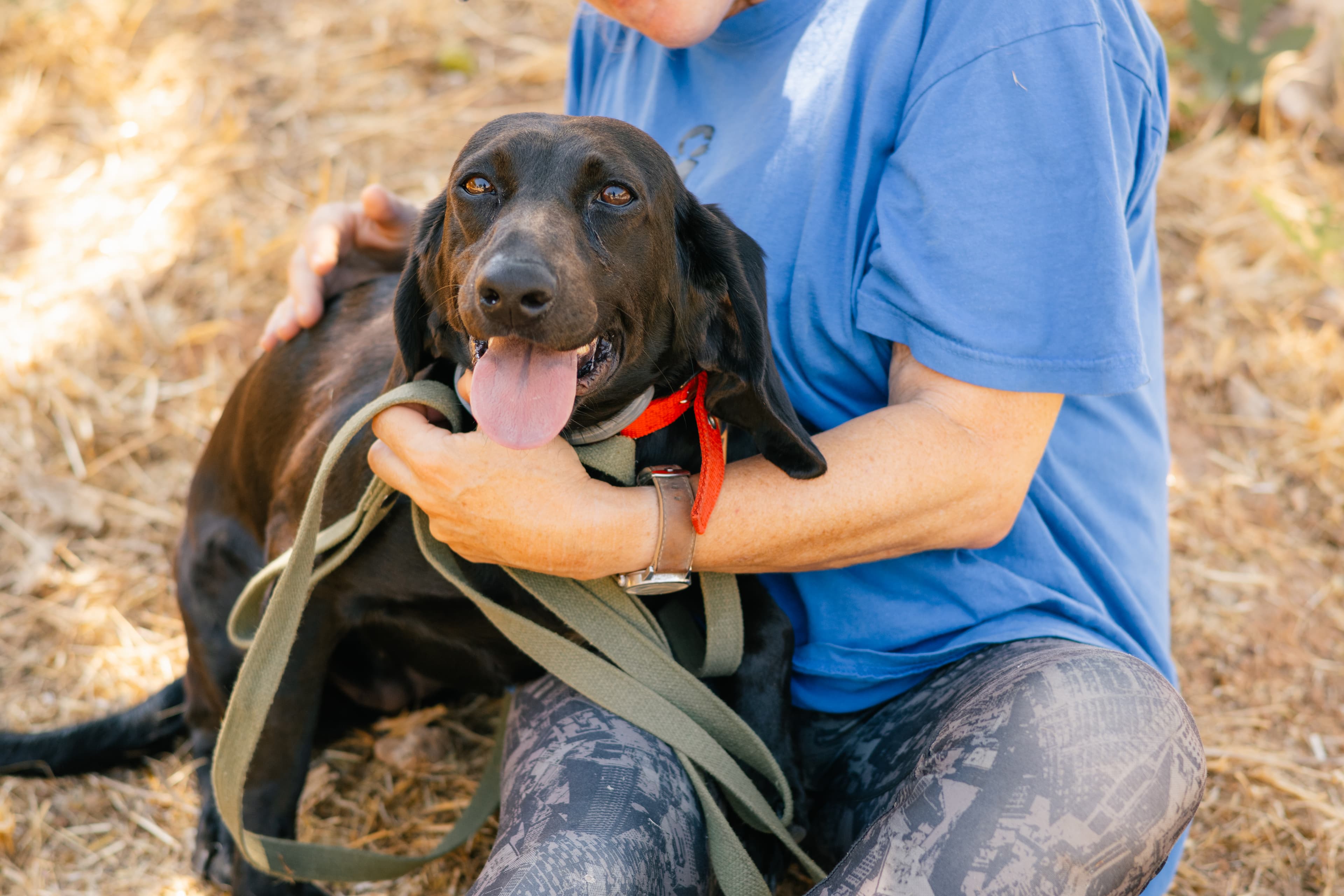 Roxy – thumbnail 2